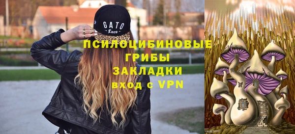 шишки Строитель